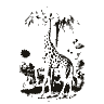 Engraving of a giraffe, from The Illustrated Magazine of Art (1853)
