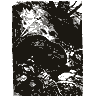 Engraving of a hedgehog, from Brehm's Life of Animals (1895)
