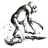 Engraving of an orangutan, from Brehms Tierleben (1890)