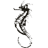 Engraving of a seahorse, from Meyers Konversations-Lexikon (1890)
